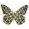 Jenny Butterfly Cheetah Print Metal Sticker Decal